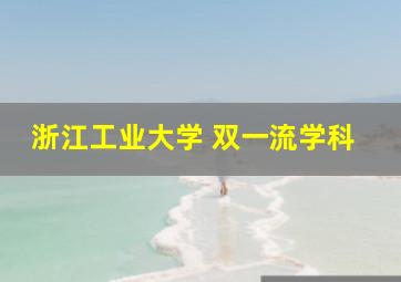 浙江工业大学 双一流学科